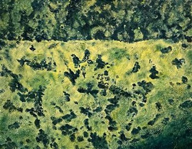 Oil on acrylic on paper